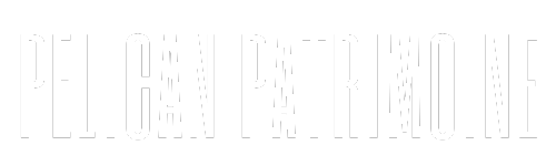 Logo White